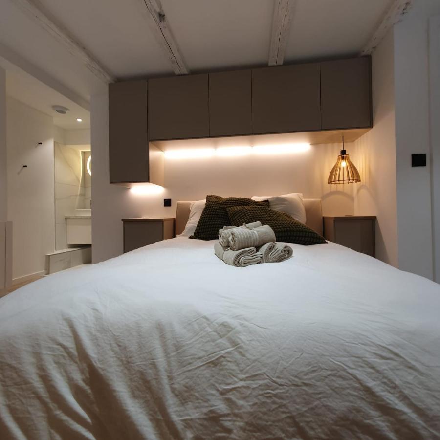 Les Appartements Hyper Centre Στρασβούργο Εξωτερικό φωτογραφία