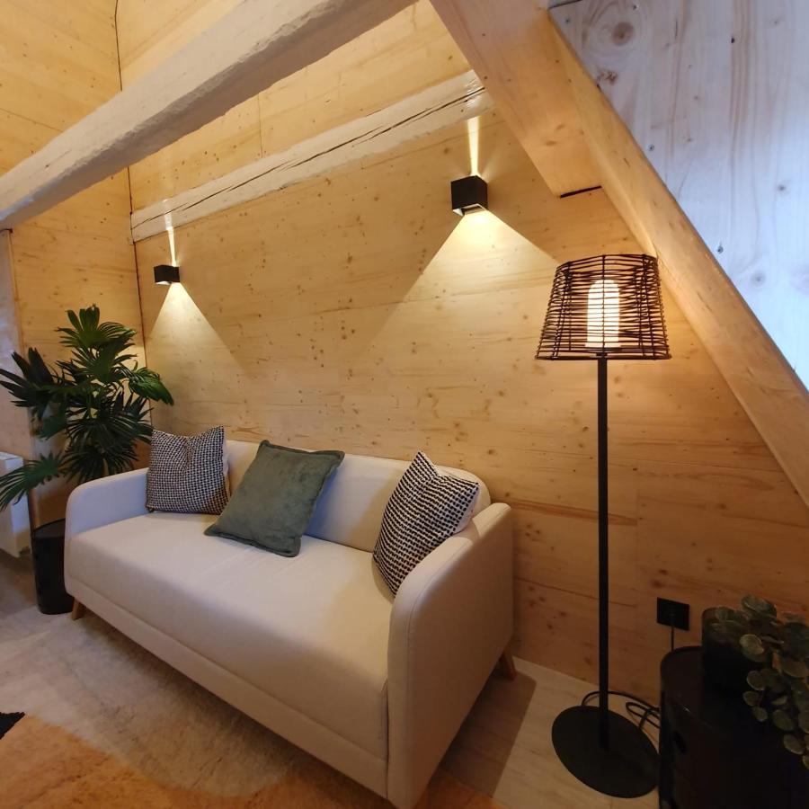 Les Appartements Hyper Centre Στρασβούργο Εξωτερικό φωτογραφία