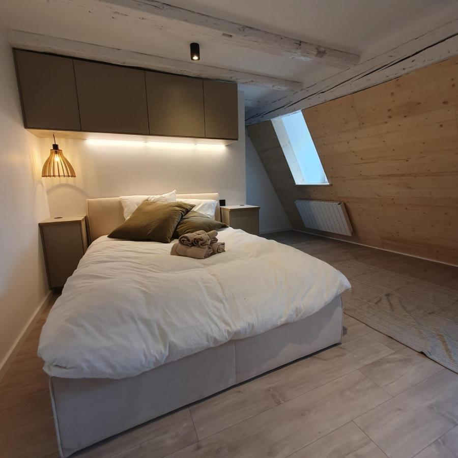 Les Appartements Hyper Centre Στρασβούργο Εξωτερικό φωτογραφία