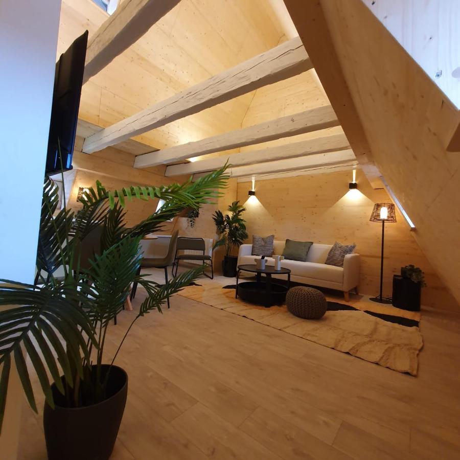 Les Appartements Hyper Centre Στρασβούργο Εξωτερικό φωτογραφία