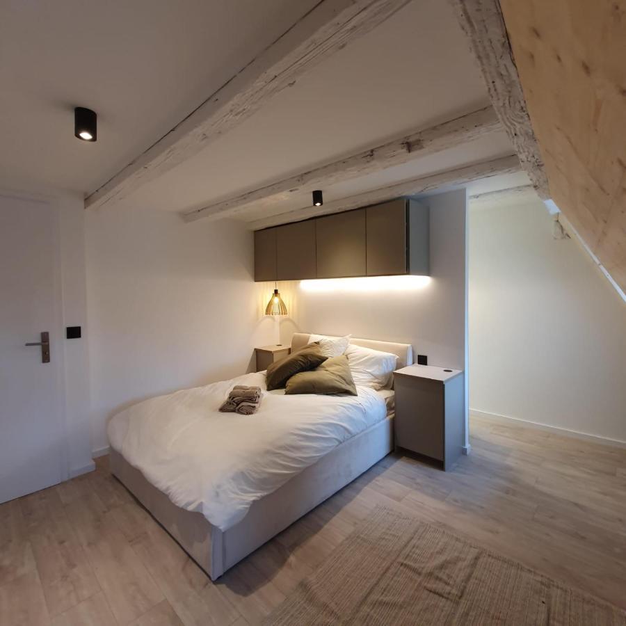 Les Appartements Hyper Centre Στρασβούργο Εξωτερικό φωτογραφία